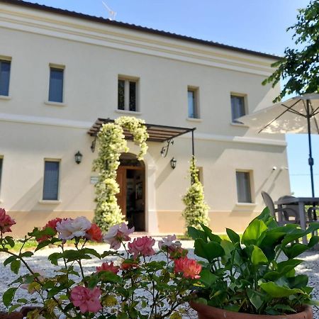 Villa Marietta Country House - Marche Montemaggiore al Metauro エクステリア 写真