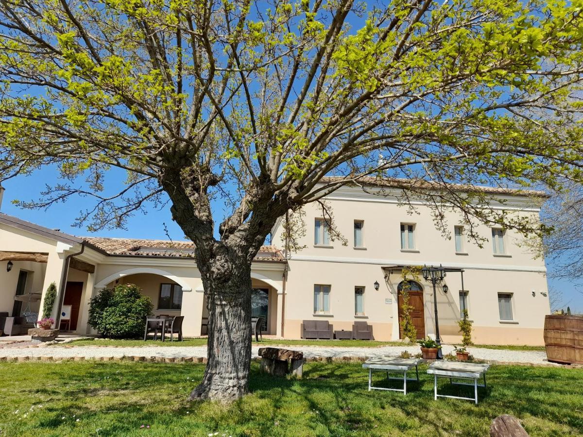 Villa Marietta Country House - Marche Montemaggiore al Metauro エクステリア 写真