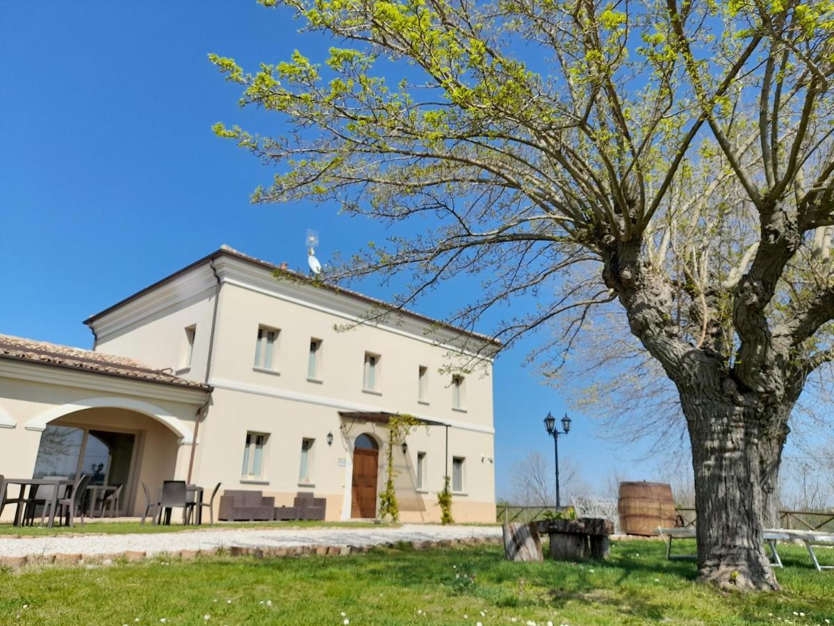 Villa Marietta Country House - Marche Montemaggiore al Metauro エクステリア 写真