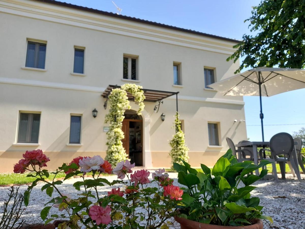 Villa Marietta Country House - Marche Montemaggiore al Metauro エクステリア 写真