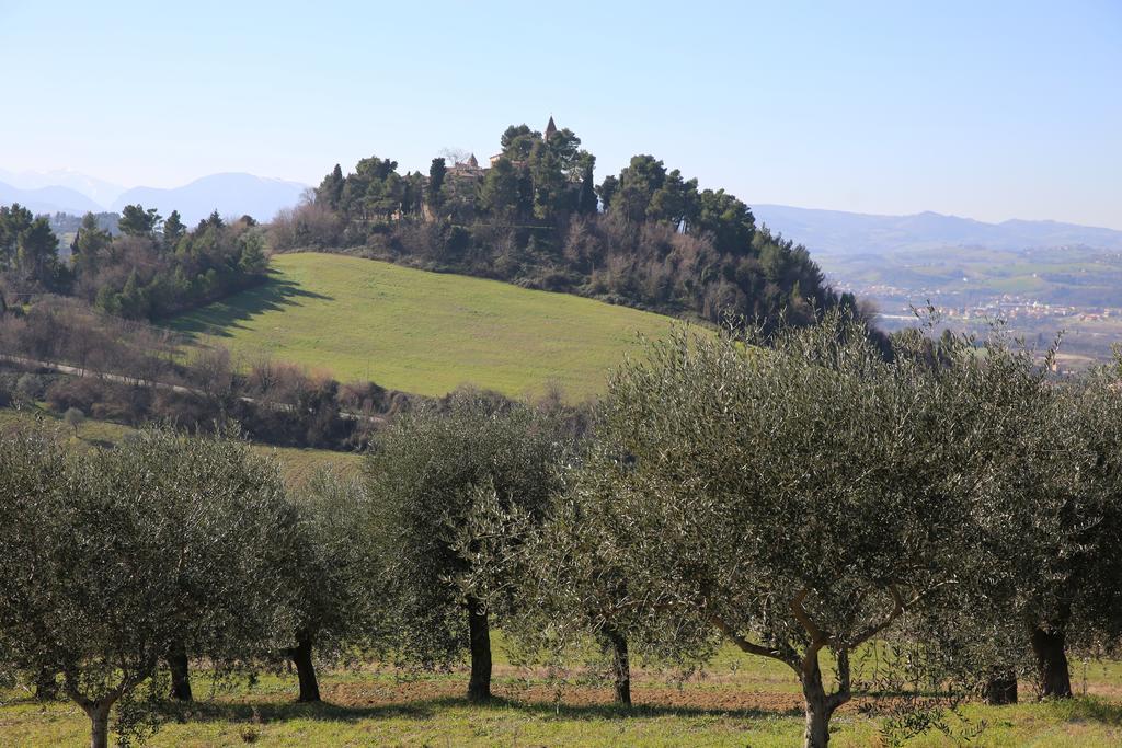 Villa Marietta Country House - Marche Montemaggiore al Metauro エクステリア 写真