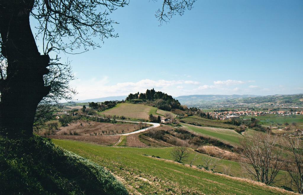 Villa Marietta Country House - Marche Montemaggiore al Metauro エクステリア 写真
